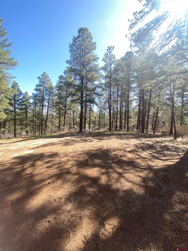 116 Nutria Cir, Pagosa Springs, CO 81147