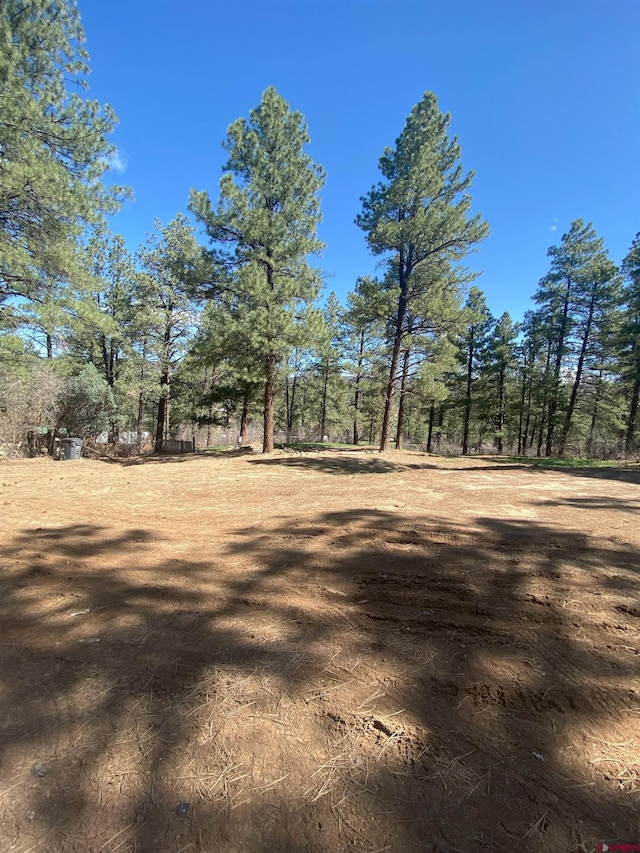 116 Nutria Cir, Pagosa Springs, CO 81147