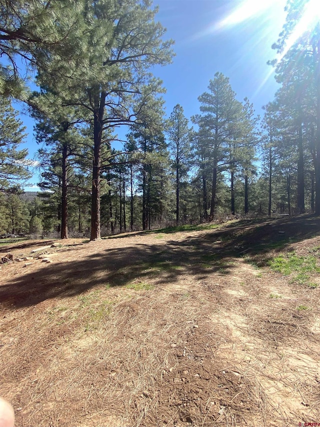 116 Nutria Cir, Pagosa Springs, CO 81147