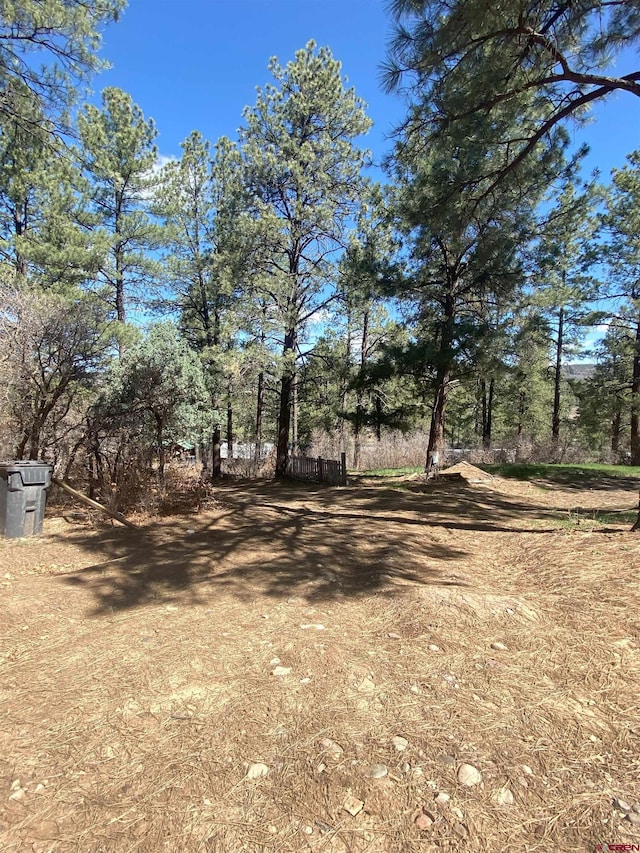 116 Nutria Cir, Pagosa Springs, CO 81147