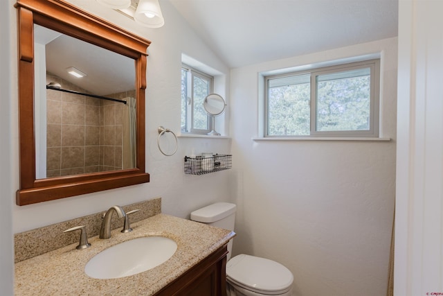 85 Mclain Ct, Pagosa Springs, CO 81147 - bathroom featuring vanity, toilet, and lofted ceiling