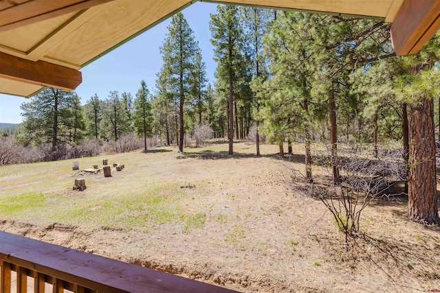 85 Mclain Ct, Pagosa Springs, CO 81147 - view of yard