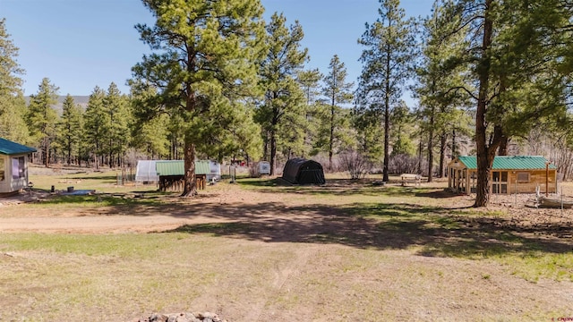 85 Mclain Ct, Pagosa Springs, CO 81147 - view of yard with an outbuilding