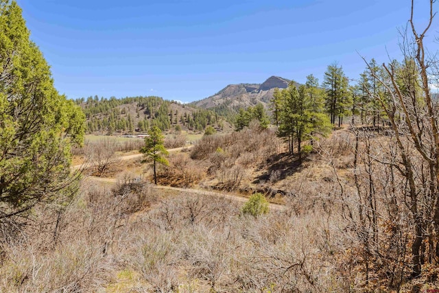 85 Mclain Ct, Pagosa Springs, CO 81147 - view of mountain feature