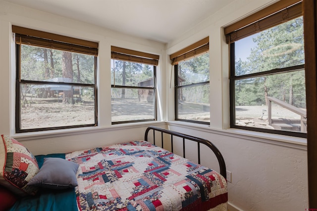 85 Mclain Ct, Pagosa Springs, CO 81147 - bedroom featuring a textured wall and multiple windows