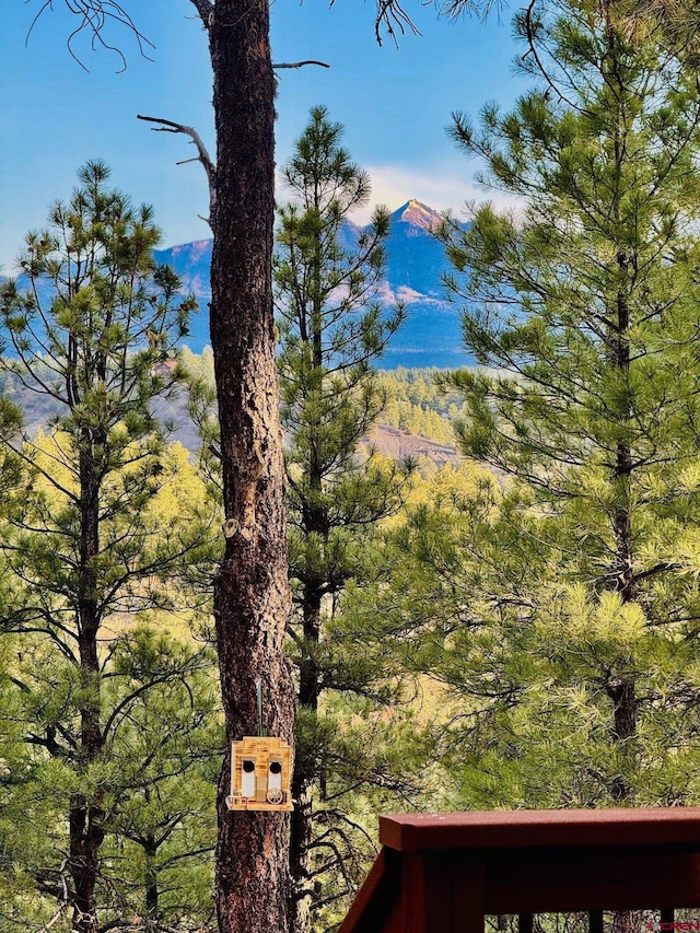 mountain view featuring a wooded view