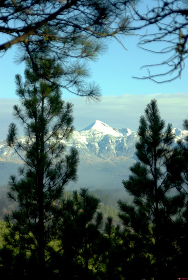 view of local wilderness with a mountain view