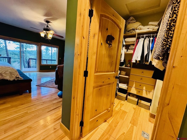 view of closet