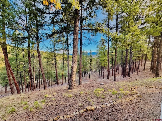 view of landscape