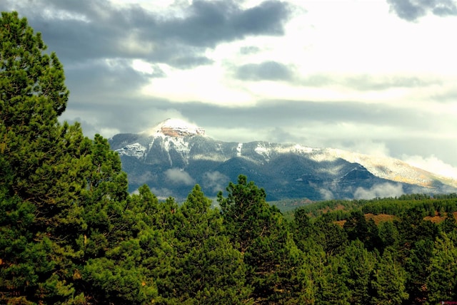view of mountain feature featuring a forest view