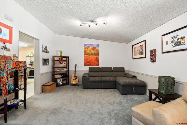 living room with carpet flooring and a textured ceiling