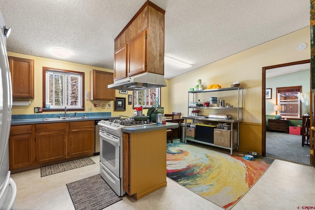 kitchen with under cabinet range hood, a textured ceiling, white gas stove, and a sink