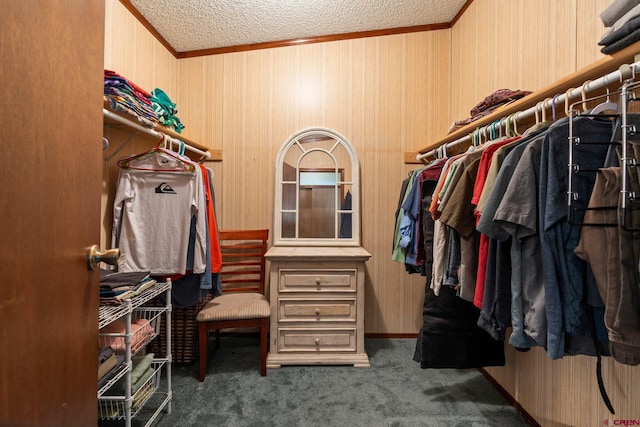 spacious closet featuring carpet