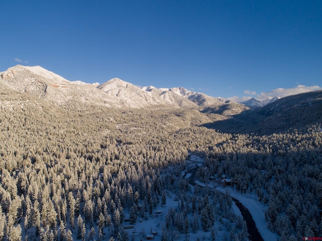 mountain view with a forest view