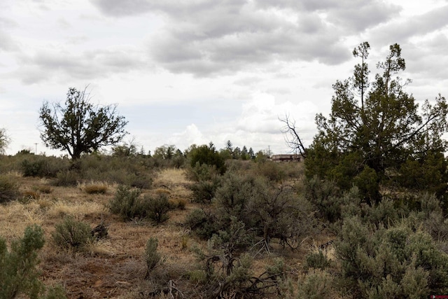 TBD S Broadway, Cortez, CO 81321