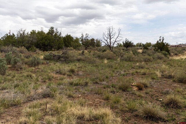 TBD S Broadway, Cortez, CO 81321