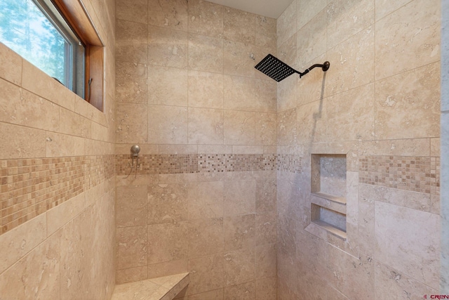 300 Copper Rim Trl, Durango, CO 81301 - room details featuring tiled shower