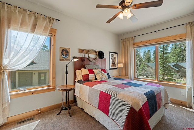 300 Copper Rim Trl, Durango, CO 81301 - bedroom with visible vents, carpet, and baseboards