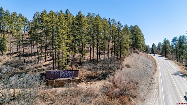 300 Copper Rim Trl, Durango, CO 81301 - view of road
