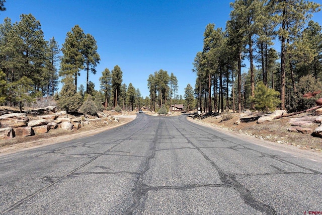 300 Copper Rim Trl, Durango, CO 81301 - view of street
