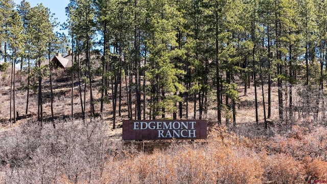 300 Copper Rim Trl, Durango, CO 81301 - view of nature