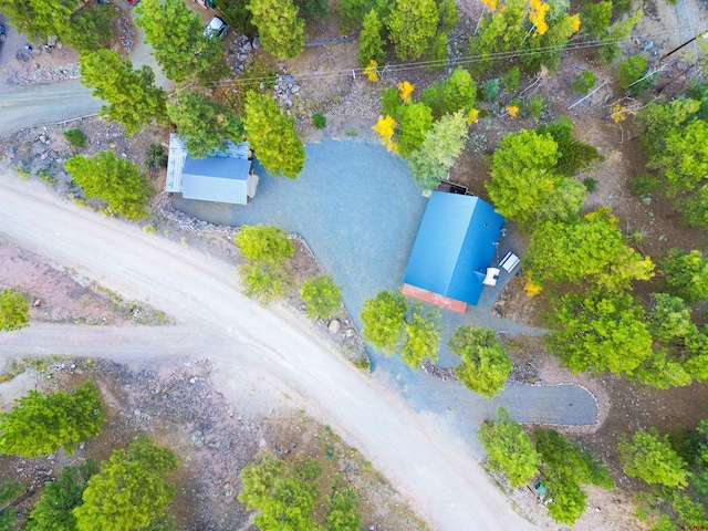 bird's eye view