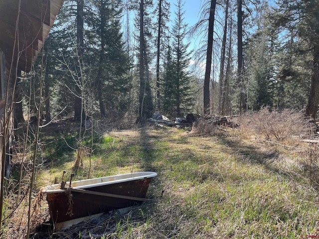114 Meadowbrook Park, Creede, CO 81130 - view of yard