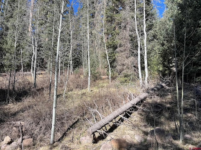 114 Meadowbrook Park, Creede, CO 81130 - view of local wilderness
