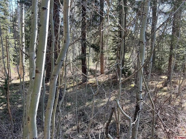 114 Meadowbrook Park, Creede, CO 81130 - view of landscape with a view of trees