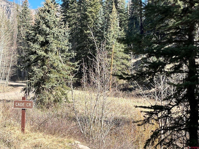 114 Meadowbrook Park, Creede, CO 81130 - view of nature featuring a wooded view
