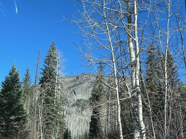 114 Meadowbrook Park, Creede, CO 81130 - mountain view with a forest view