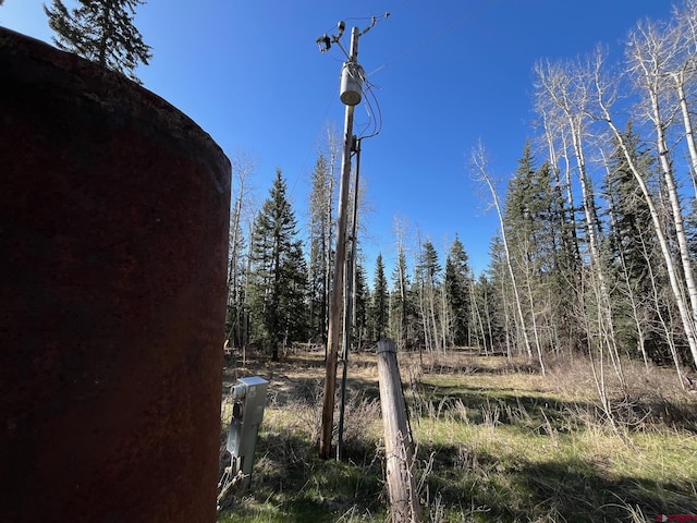 114 Meadowbrook Park, Creede, CO 81130 - view of local wilderness