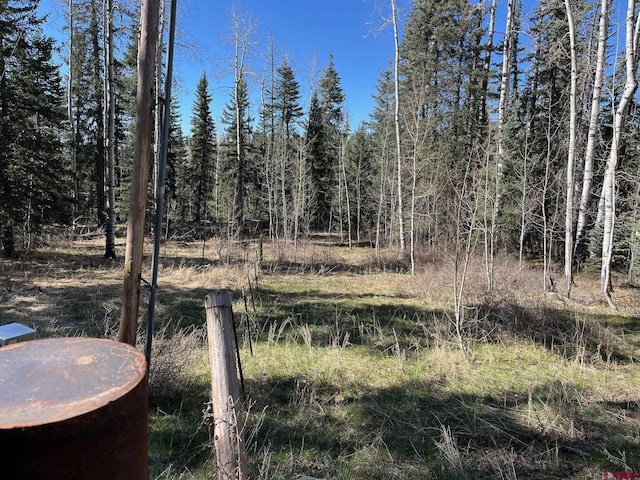 114 Meadowbrook Park, Creede, CO 81130 - view of local wilderness featuring a forest view