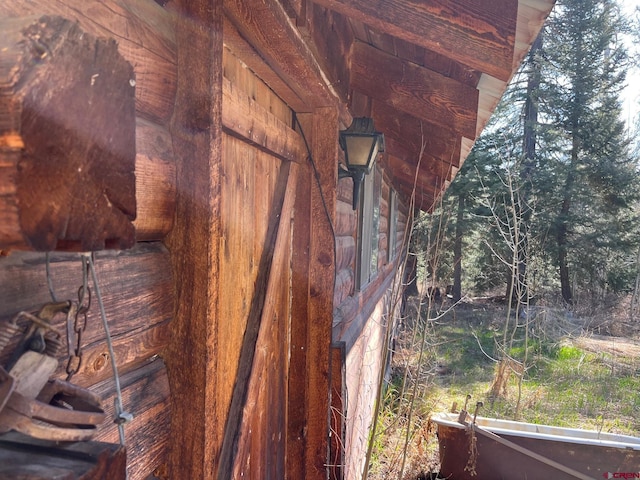 114 Meadowbrook Park, Creede, CO 81130 - view of exterior details