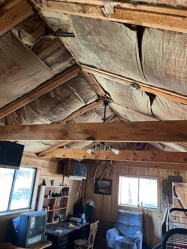 114 Meadowbrook Park, Creede, CO 81130 - view of unfinished attic