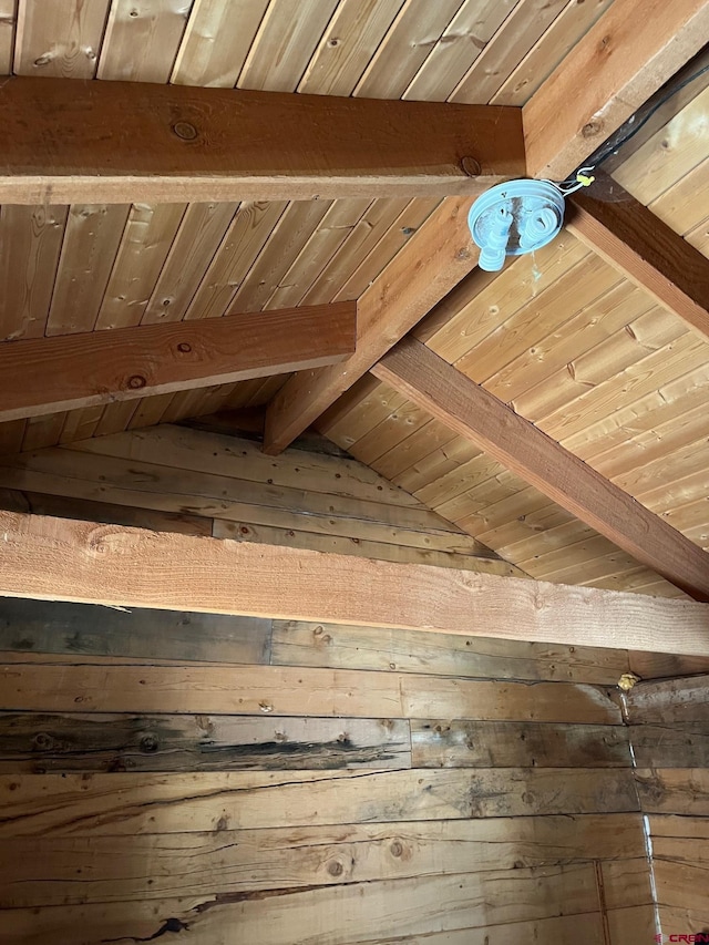 114 Meadowbrook Park, Creede, CO 81130 - details featuring wooden walls, wooden ceiling, and beamed ceiling