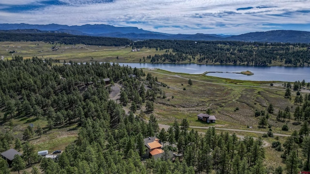 aerial view featuring a water and mountain view and a forest view