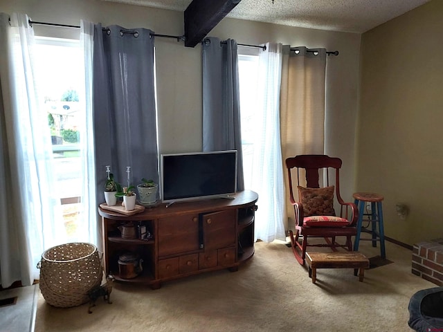 sitting room featuring visible vents, carpet flooring, a textured ceiling, and a wealth of natural light
