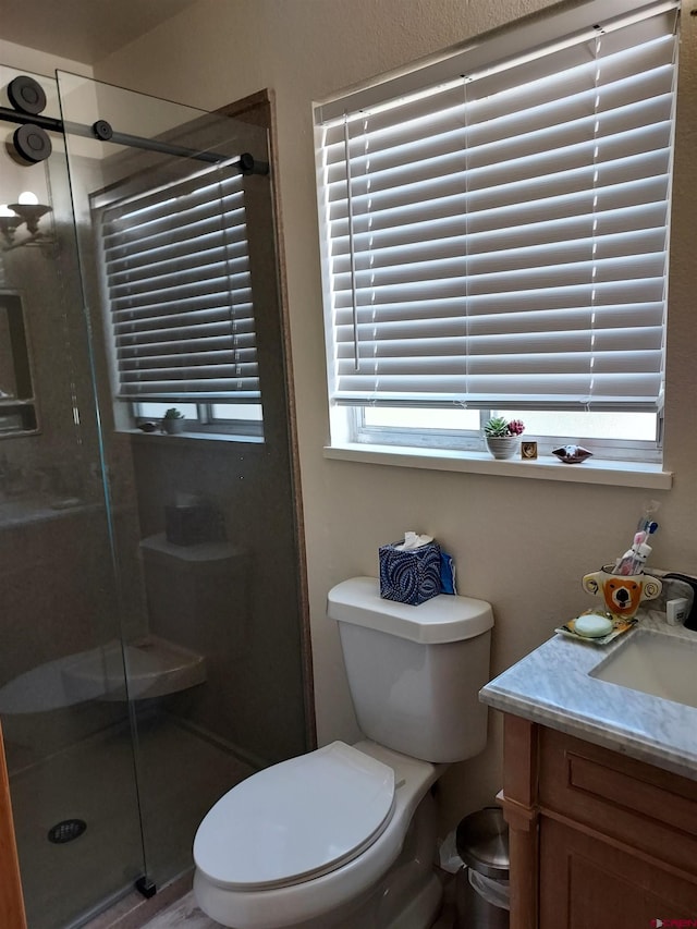 full bathroom with vanity, toilet, and a shower stall
