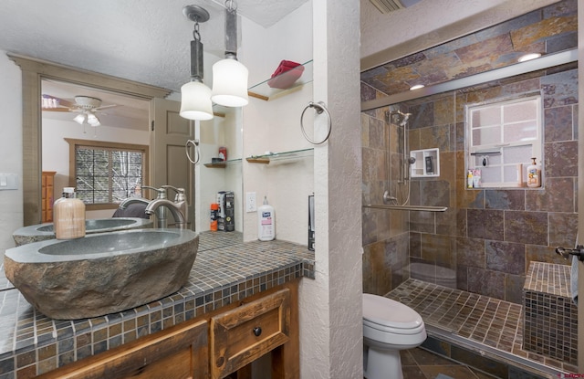 746 W Vallecito Crk, Bayfield, CO 81122 - bathroom featuring vanity, toilet, ceiling fan, a textured ceiling, and a shower stall