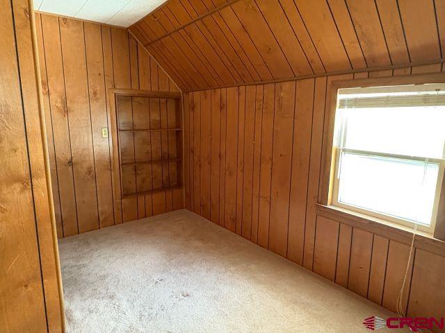 231 3rd Ave, Ouray, CO 81427 - bonus room with wooden walls, carpet flooring, and lofted ceiling