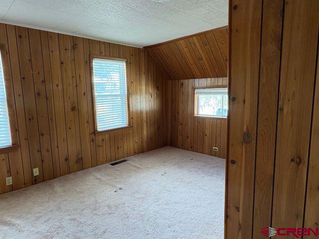 231 3rd Ave, Ouray, CO 81427 - bonus room with carpet floors, wooden walls, visible vents, and vaulted ceiling