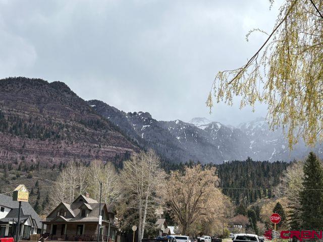 231 3rd Ave, Ouray, CO 81427 - mountain view featuring a wooded view