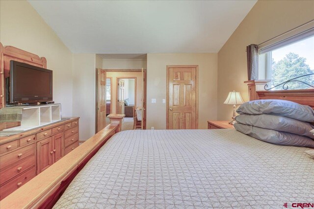 26 Steamboat Dr, Pagosa Springs, CO 81147 - bedroom featuring vaulted ceiling