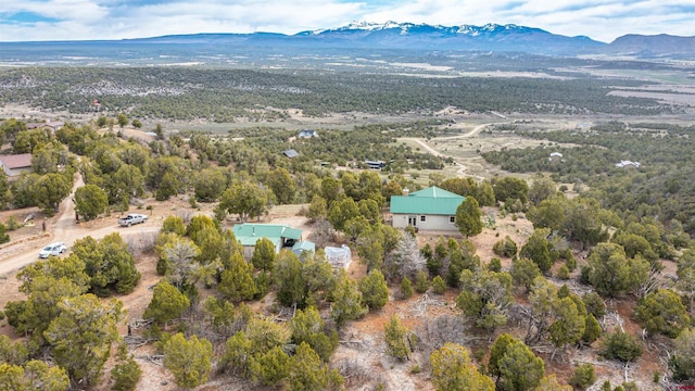 35900 Rd J.8, Mancos, CO 81328 - bird's eye view of mountains