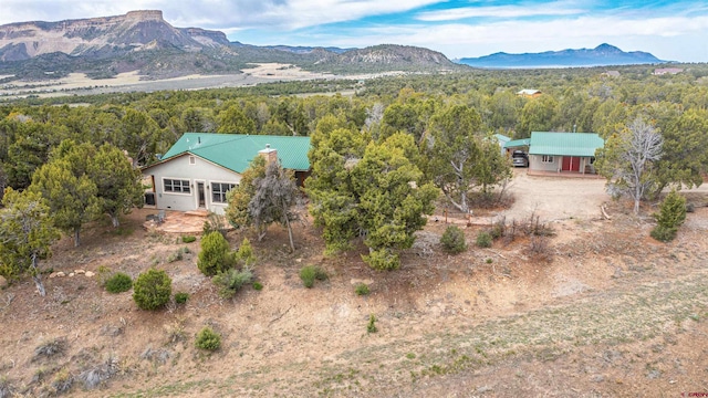 35900 Rd J.8, Mancos, CO 81328 - view of mountain backdrop with a forest