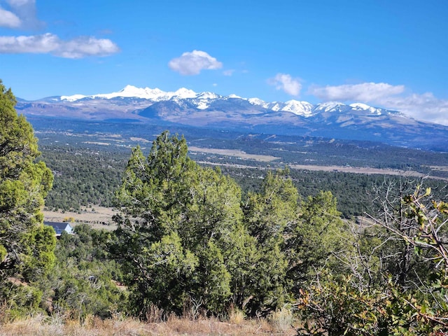35900 Rd J.8, Mancos, CO 81328 - view of mountain backdrop featuring a forest