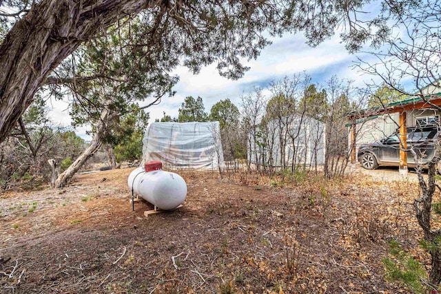 35900 Rd J.8, Mancos, CO 81328 - view of yard
