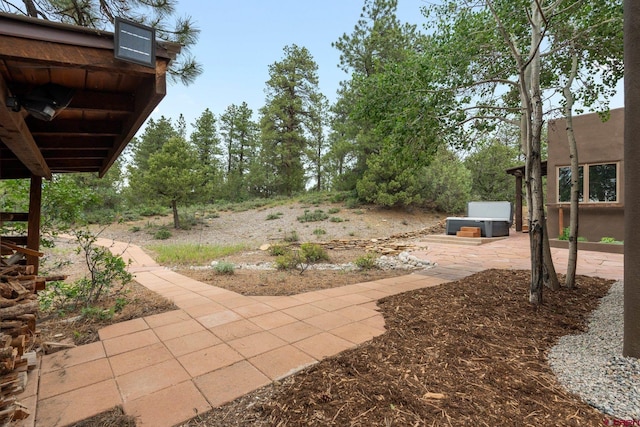 view of yard with a patio area