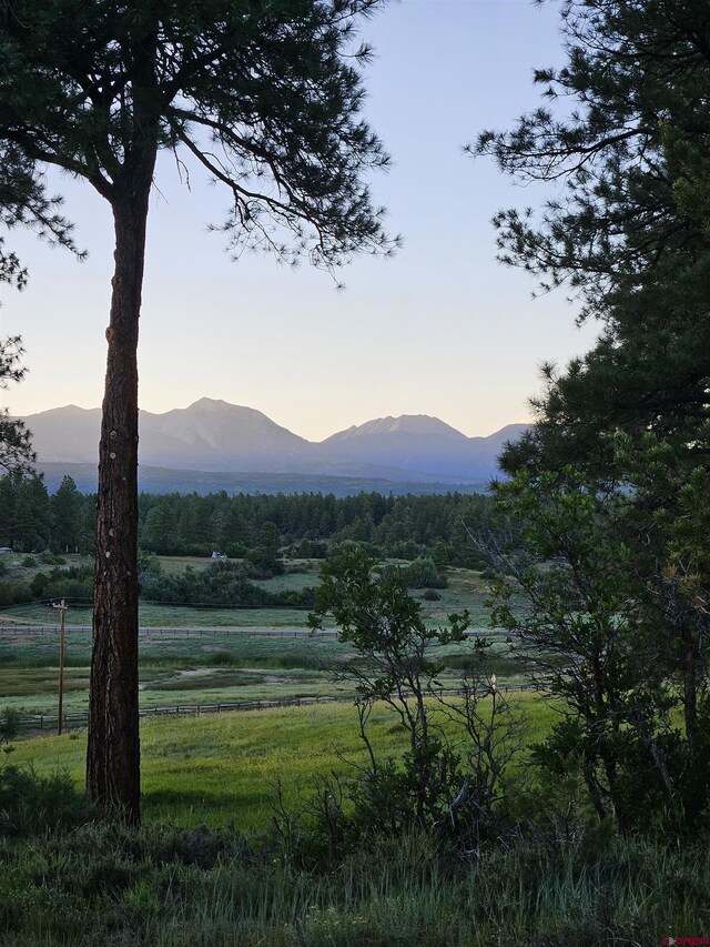 mountain view